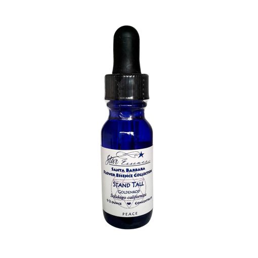 Goldenrod - Con la Cabeza en Alto - Star Essence