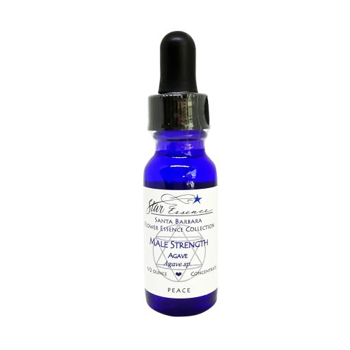Male Strength - Agave (Fuerza masculina) - Star Essences