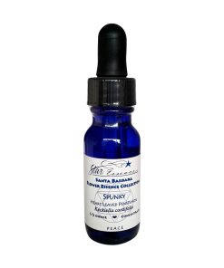 Penstemon - Valeroso y determinado - Star Essence