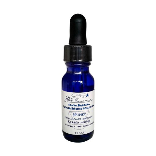 Penstemon - Valeroso y determinado - Star Essence
