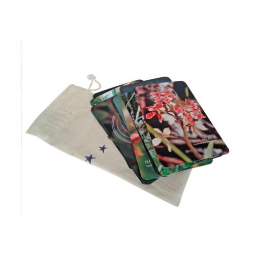 Pack Libro Alegría y Bend + Cartas Star Orquideas And. - Imagen 2