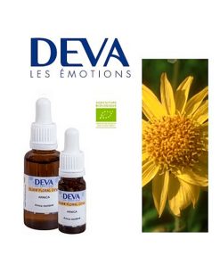 Arnica (Árnica)