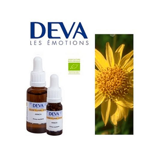 Arnica (Árnica)