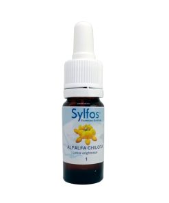 Alfalfa Chilota - Sylfos