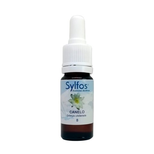 Canelo - Sylfos