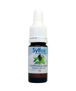 Costilla de Adán - Sylfos