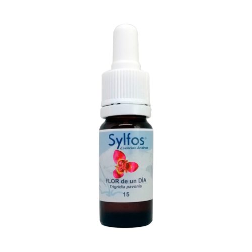 Flor de un día - Sylfos