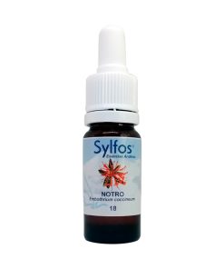 Notro - Sylfos