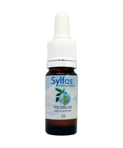 Toloache - Sylfos