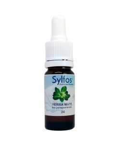 Yerba mate - Sylfos