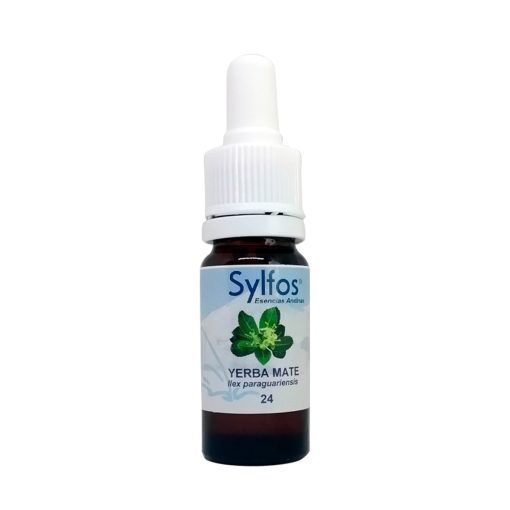 Yerba mate - Sylfos