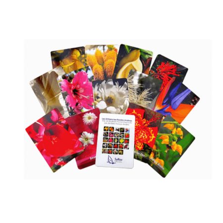 Cartas Esencias Andinas x 24