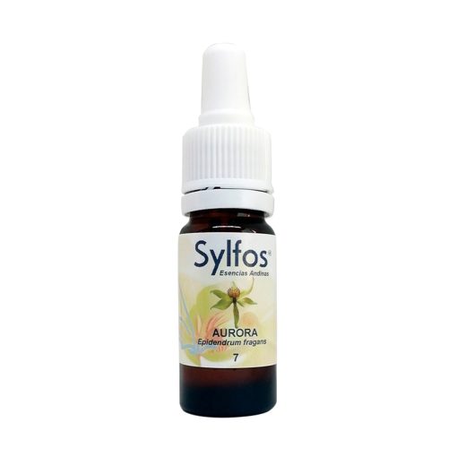 Orquídea Aurora - Sylfos