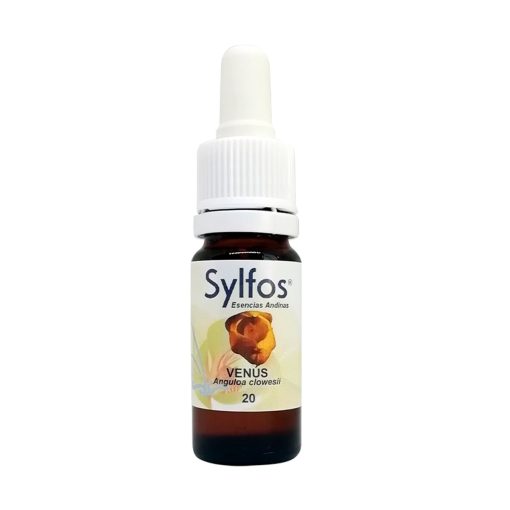 Orquídea Venus - Sylfos
