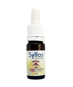 Orquídea Canalización - Sylfos