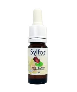 Orquídea Red Helmet - Sylfos