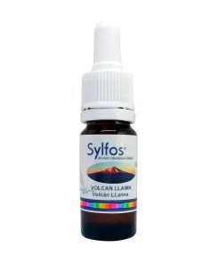Volcán Llaima - Sylfos