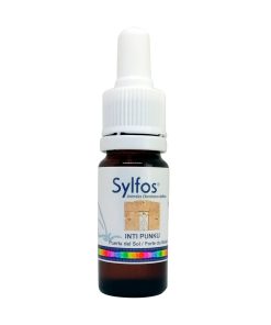 Puerta del Sol - Sylfos