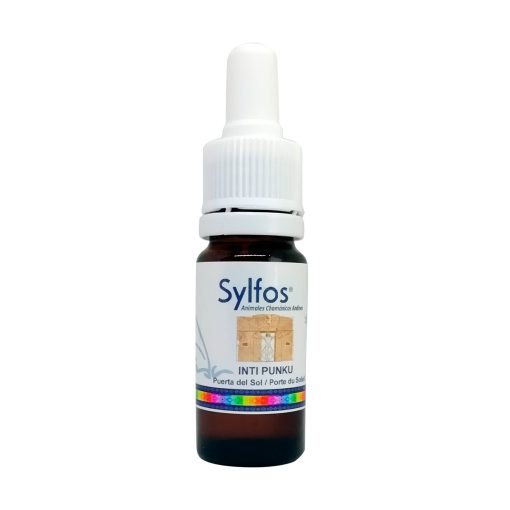 Puerta del Sol - Sylfos