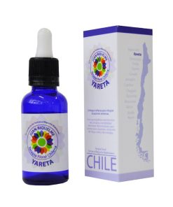 Yareta - Terapia Floral Chilena