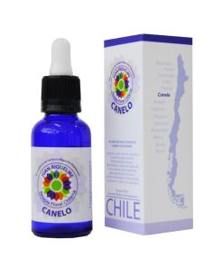 Canelo - Terapia Floral Chilena