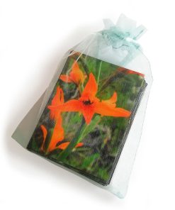Cartas Kit Inicial (Esencias Patagonia)