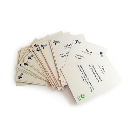 Cartas Kit Inicial (Esencias Patagonia) - Imagen 3