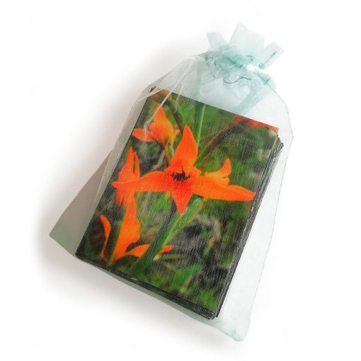 Cartas Kit Inicial (Esencias Patagonia)