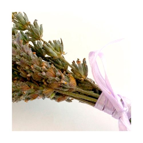 Ramito de Lavanda+Bolsita de Lavanda caja - Imagen 3