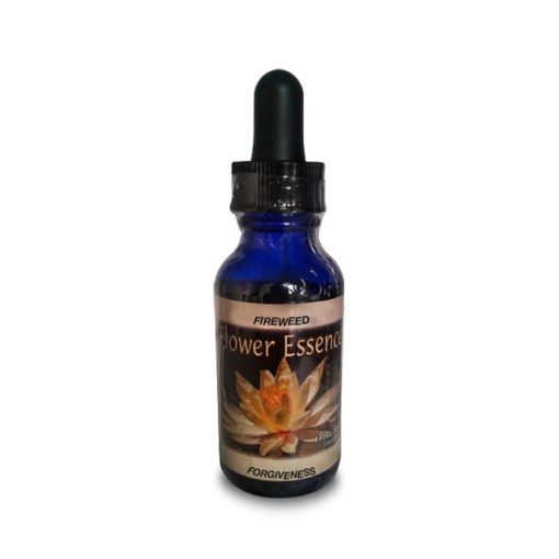 Fireweed (Epilobio)