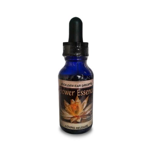 Golden Ear Drops - Hierba de la virgen