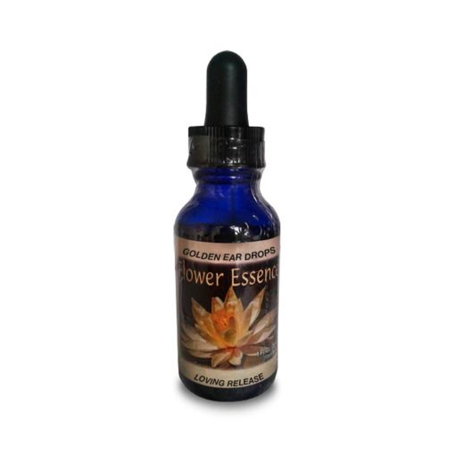 Golden Ear Drops - Hierba de la virgen