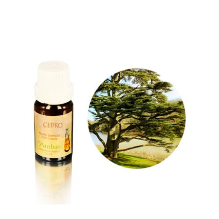 Cedro 10 ml