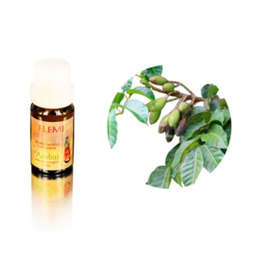 Elemi 10 ml.