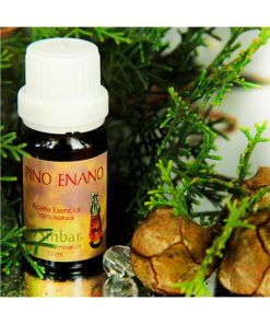 Pino Enano 10 ml.