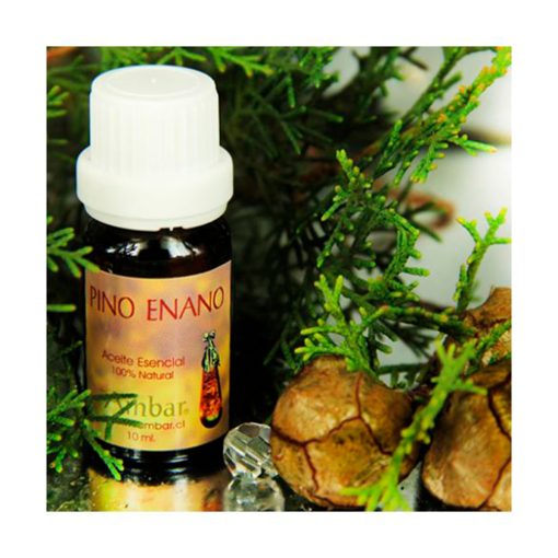 Pino Enano 10 ml.