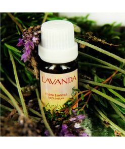 Lavanda 10 ml.