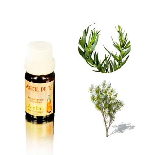 Árbol de té 10 ml.