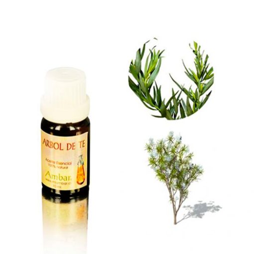 Árbol de té 10 ml.