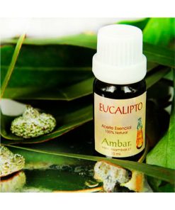 Eucalipto 10 ml.