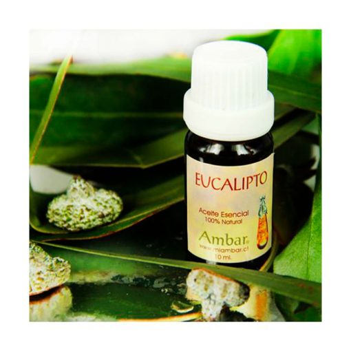 Eucalipto 10 ml.