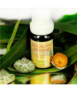Eucaliptus Citriodora 10 ml
