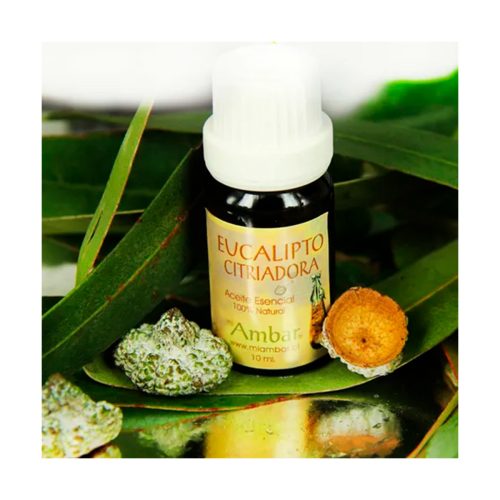Eucaliptus Citriodora 10 ml