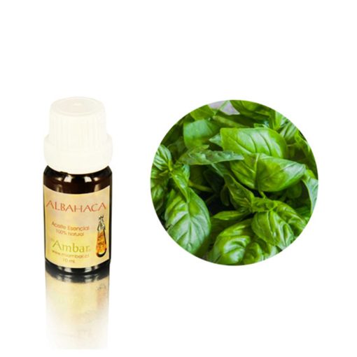 Albahaca 10 ml