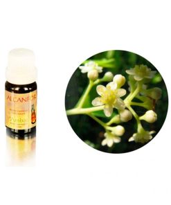 Alcanfor 10 ml.