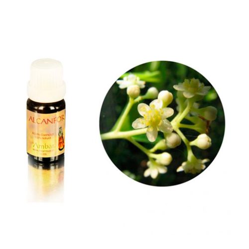 Alcanfor 10 ml.