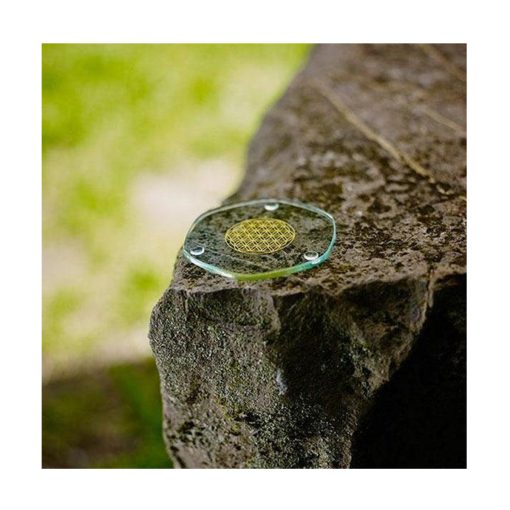 Platillo Energético Small Revitalizador de Alimentos Gold - Imagen 2