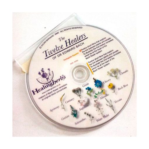 The twelve healers