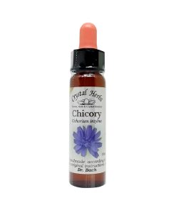 Chicory - Flores de Bach