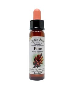 Pine - Flores de Bach